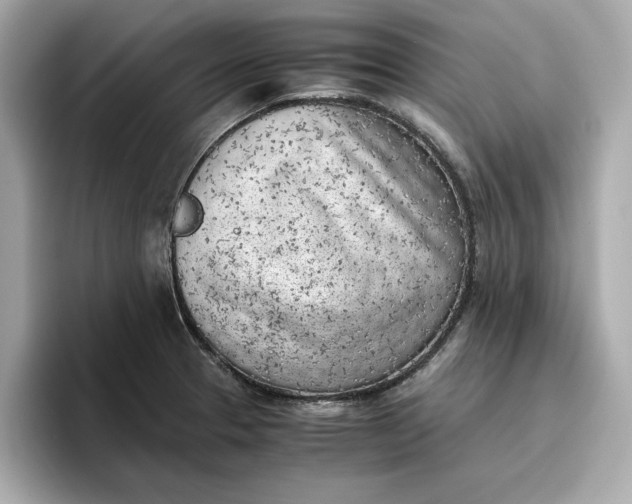 X0000096961329200802221334