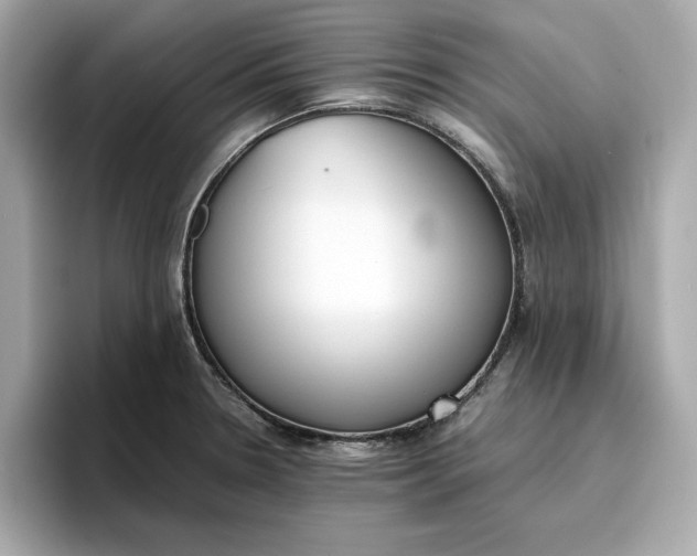 X0000096961330200802221334