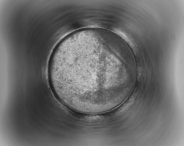 X0000096961331200802221334