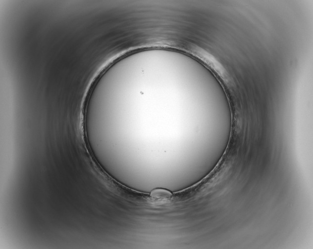 X0000096961332200802221334