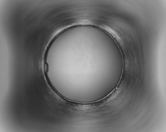 X0000096961334200802221334