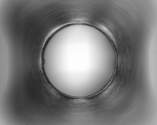 X0000096961336200802221334