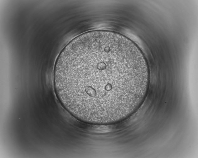 X0000096961338200802221334