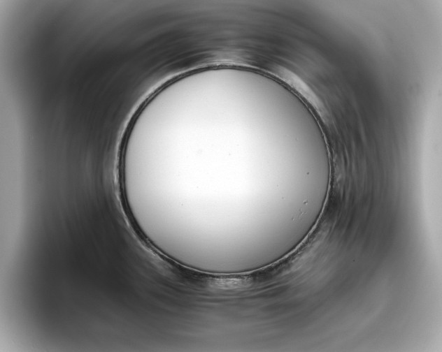 X0000096961339200802221334