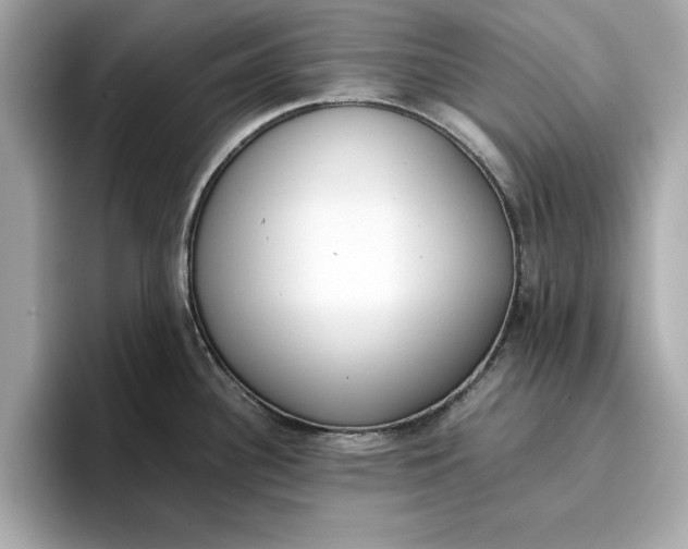 X0000096961340200802221334