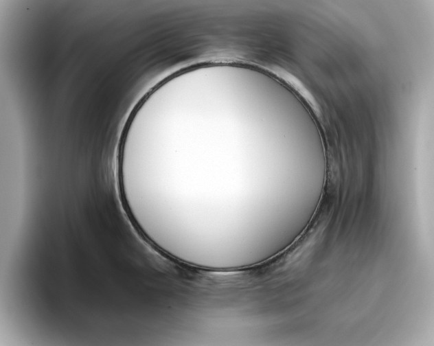 X0000096961343200802221334