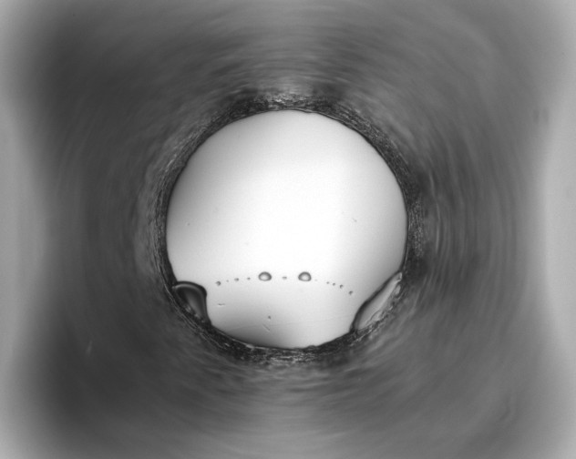 X0000096961345200802221334