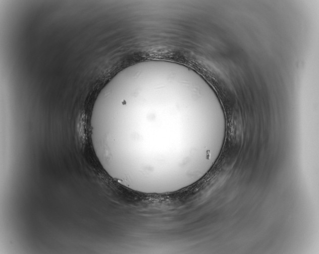 X0000096961346200802221334