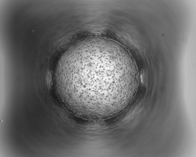 X0000096961347200802221334