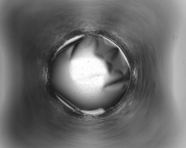 X0000096961348200802221334