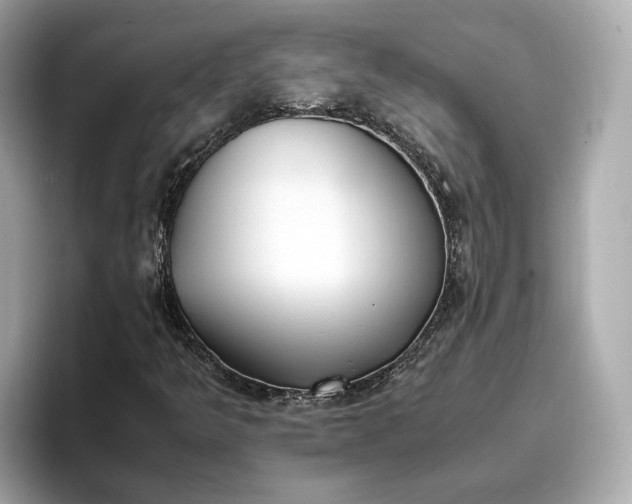 X0000096961349200802221334