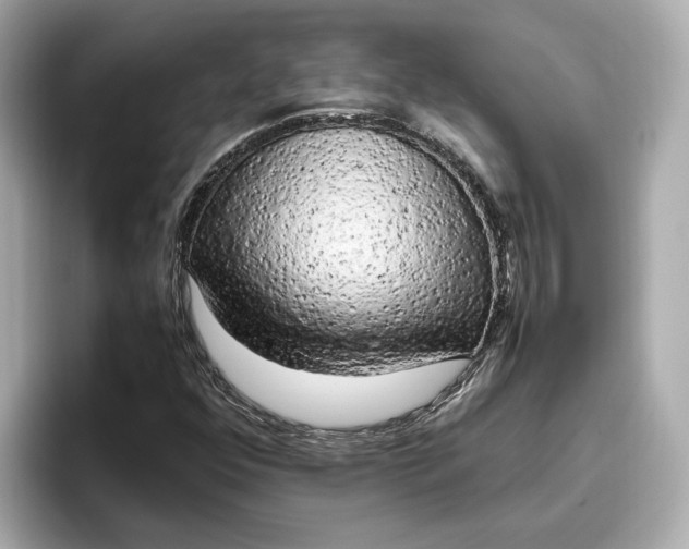 X0000096961352200802221334