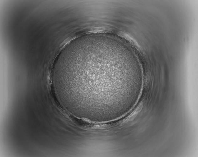 X0000096961353200802221334