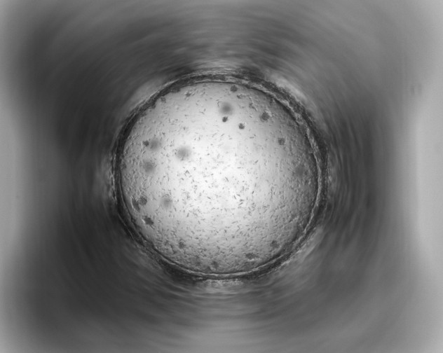 X0000096961354200802221334