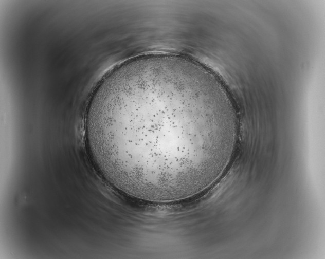 X0000096961355200802221334