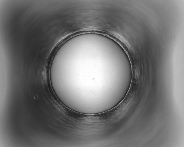 X0000096961356200802221334