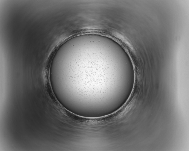 X0000096961357200802221334