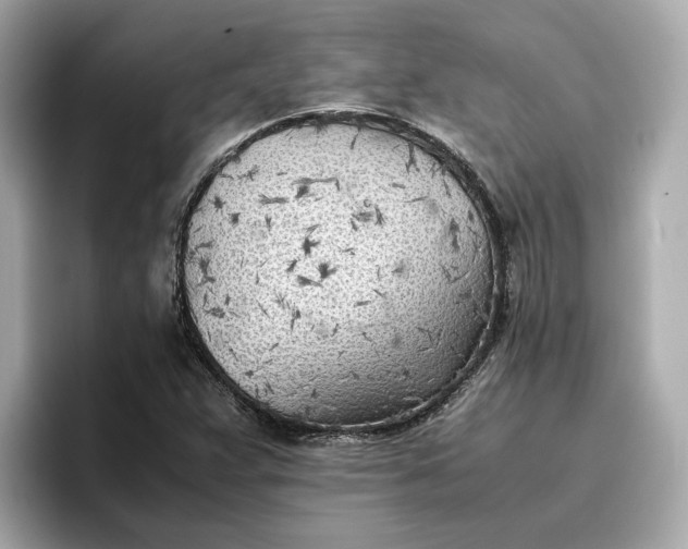 X0000096961359200802221334