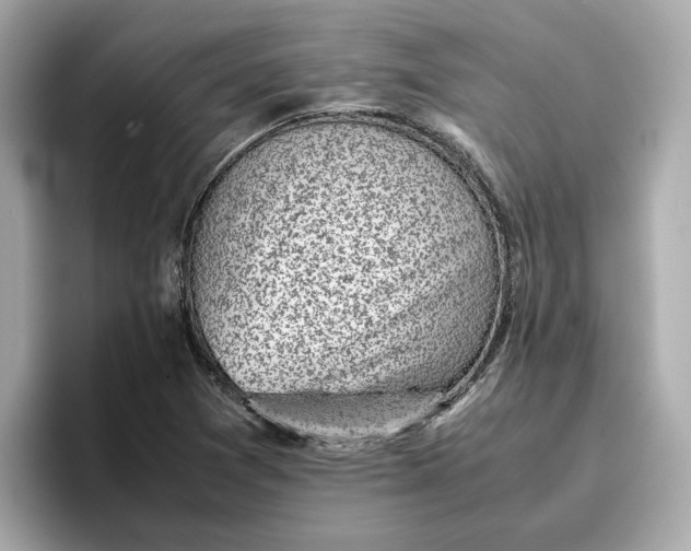 X0000096961361200802221334