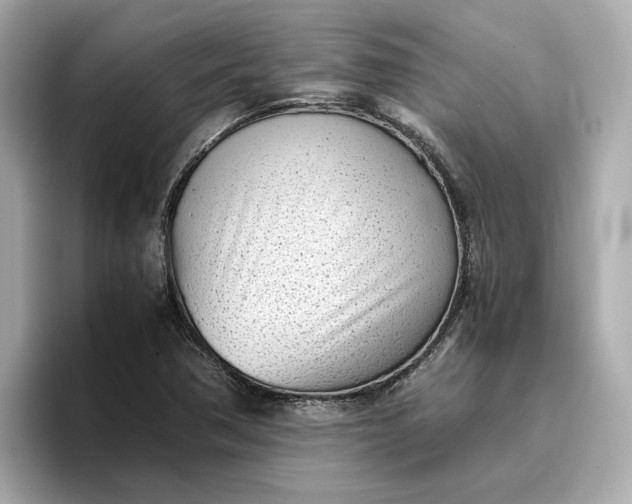 X0000096961362200802221334