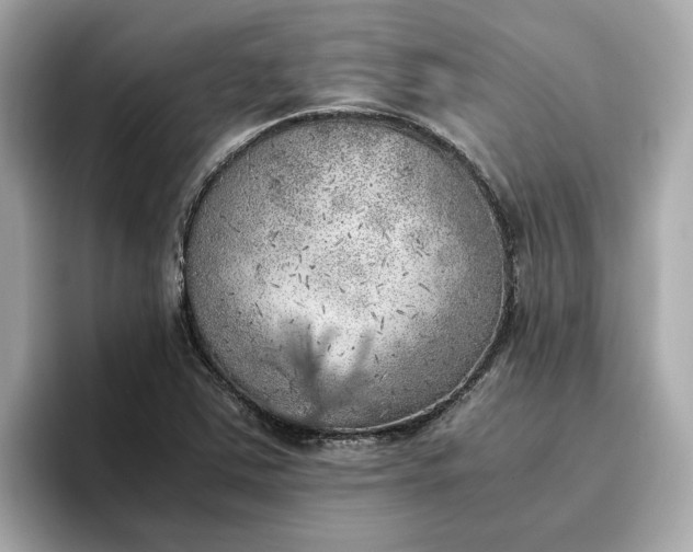 X0000096961363200802221334