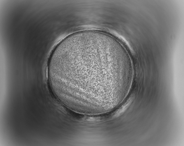 X0000096961365200802221334