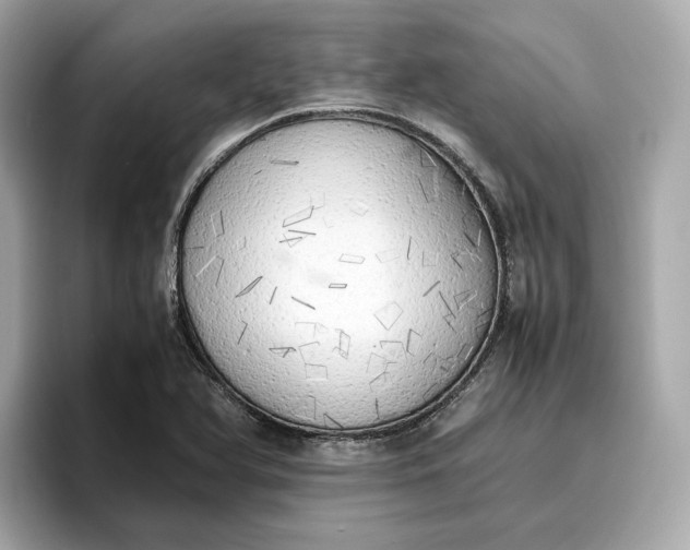 X0000096961366200802221334