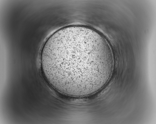 X0000096961367200802221334