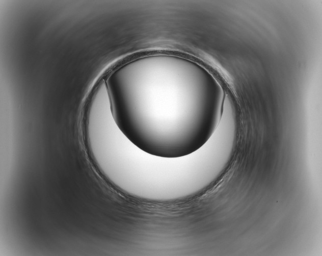 X0000096961368200802221334