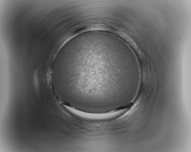 X0000096961369200802221334