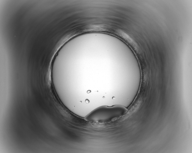 X0000096961370200802221334