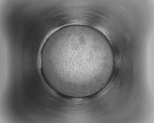 X0000096961371200802221334