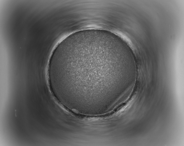 X0000096961373200802221334