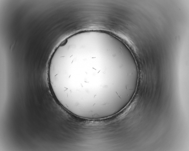 X0000096961374200802221333