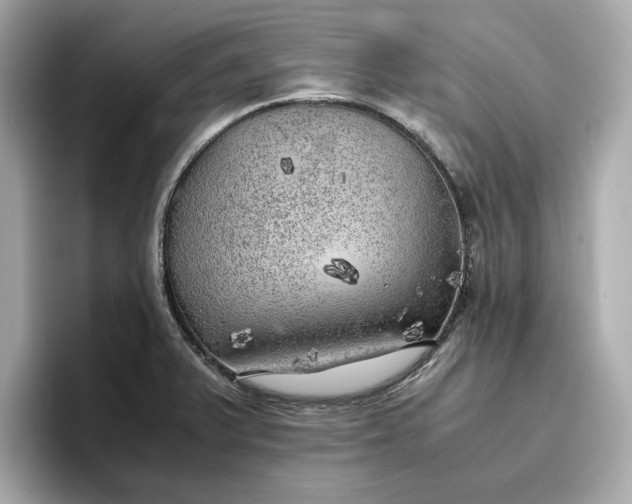 X0000096961375200802221333