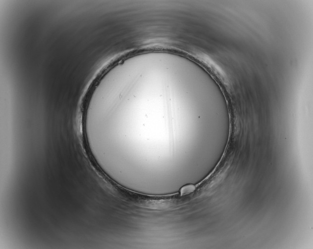 X0000096961376200802221333