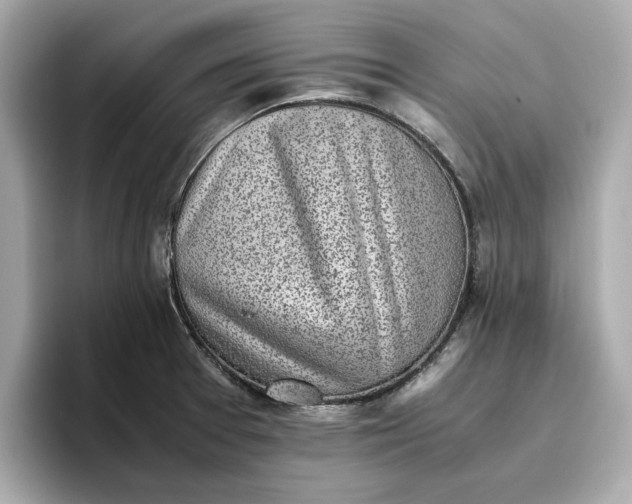 X0000096961377200802221333