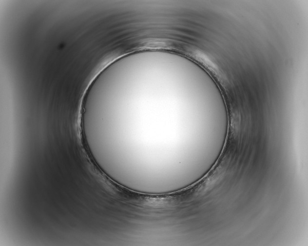 X0000096961378200802221333