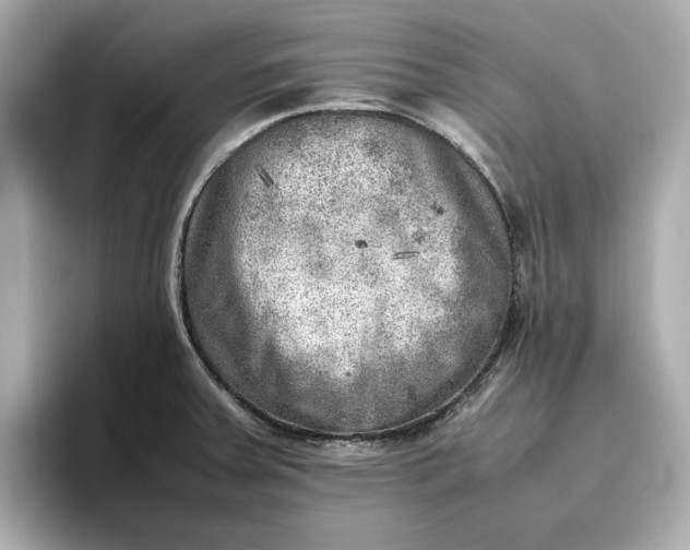 X0000096961379200802221333