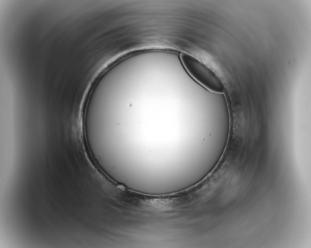 X0000096961380200802221333