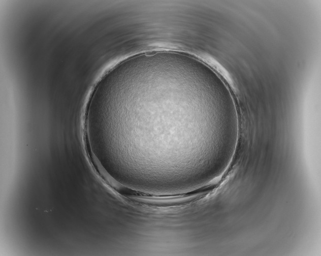 X0000096961381200802221333