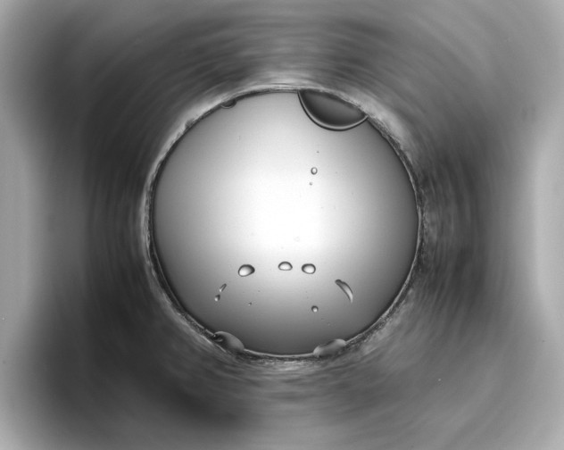 X0000096961382200802221333