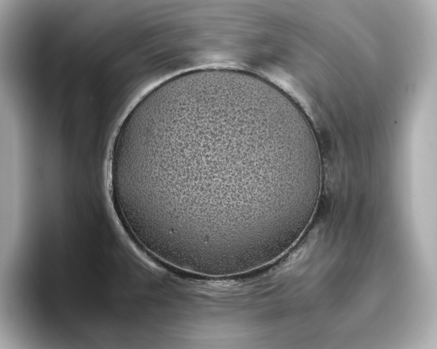 X0000096961383200802221333