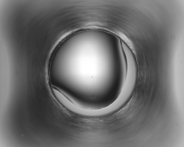 X0000096961384200802221333