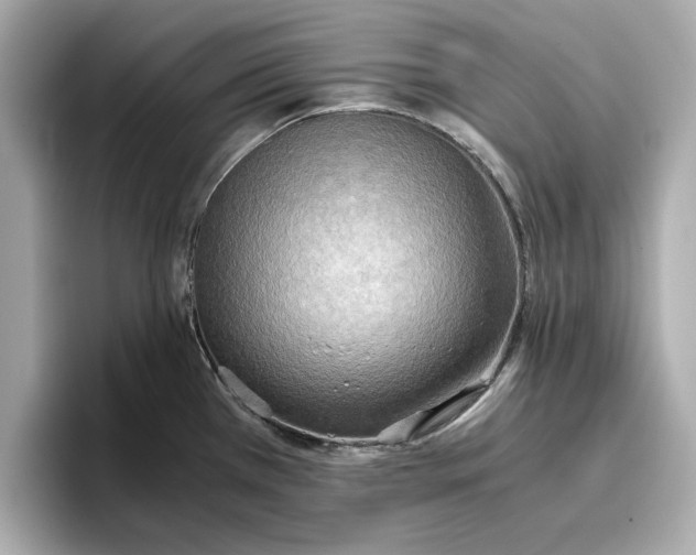 X0000096961385200802221333