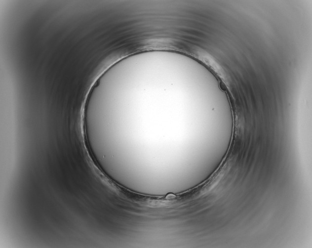 X0000096961386200802221333