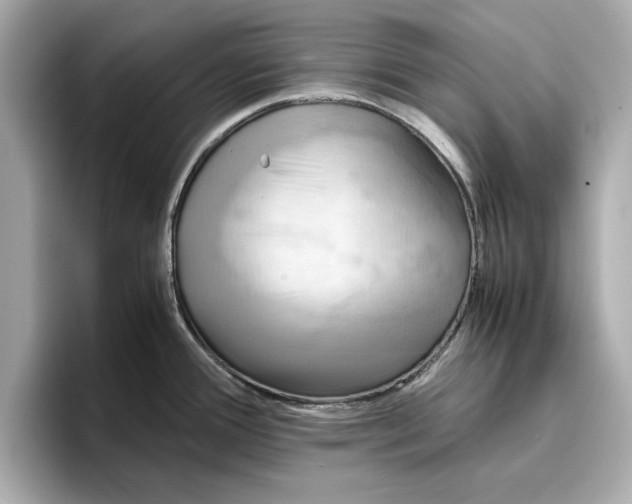 X0000096961388200802221333