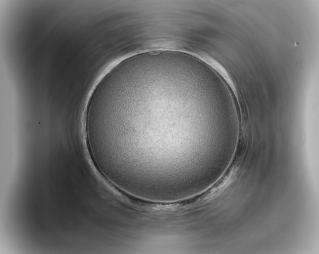 X0000096961389200802221333