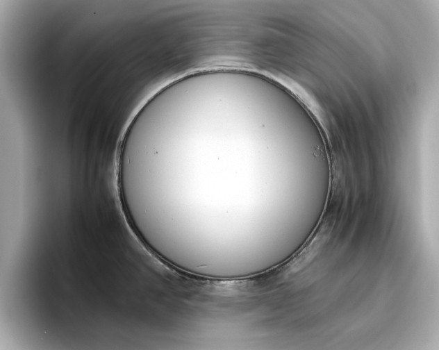 X0000096961390200802221333