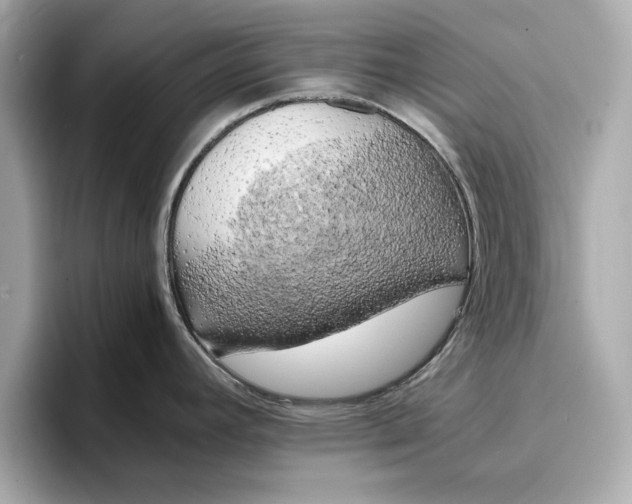 X0000096961392200802221333